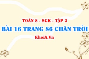 Bài 16 trang 86 Toán 8 Chân trời sáng tạo Tập 2